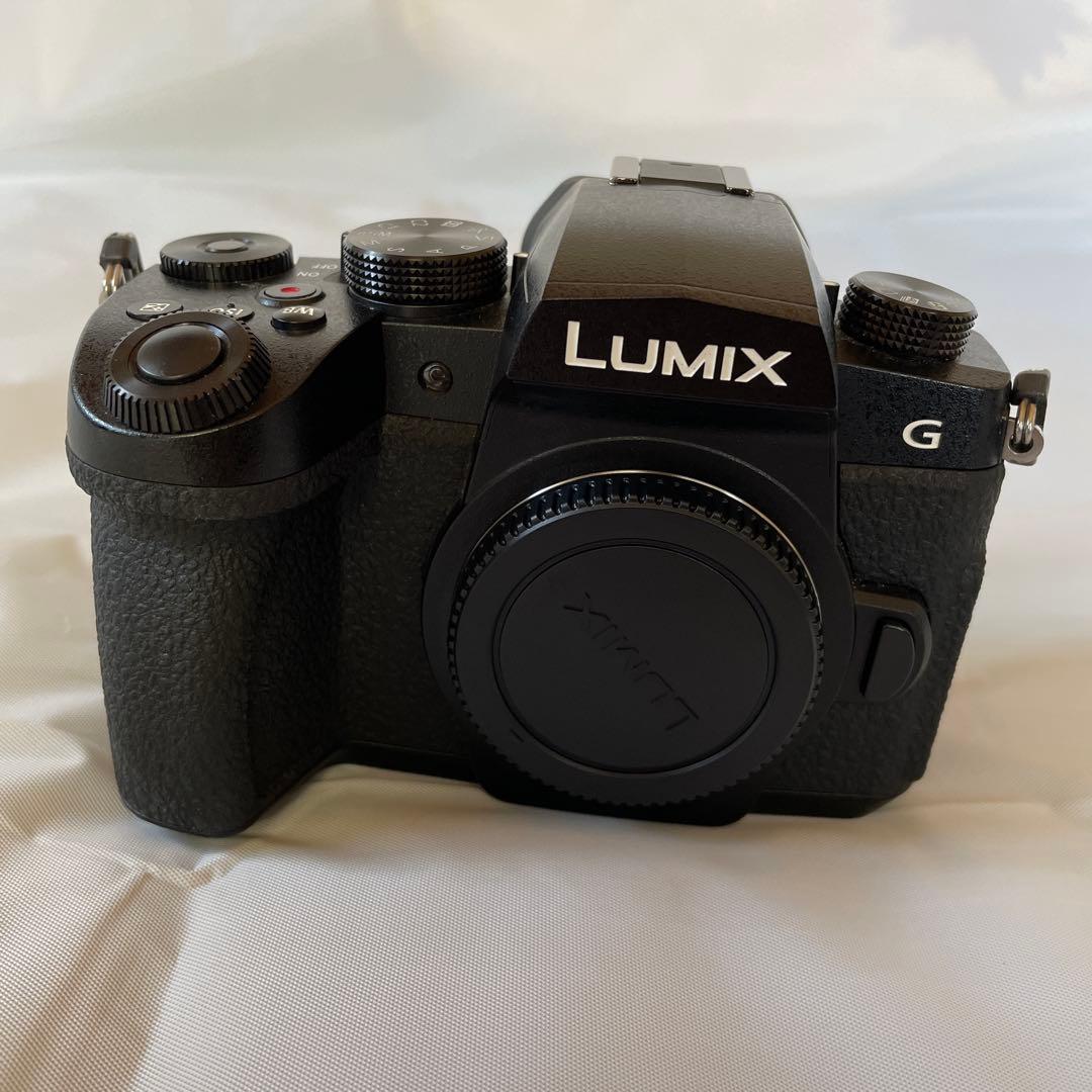 「e」LUMIX DC-G99-Ｋボディ