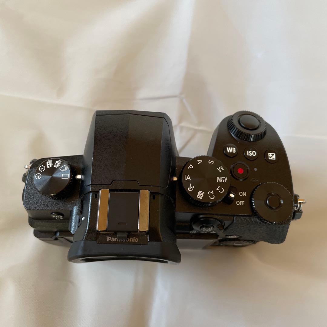 「e」LUMIX DC-G99-Ｋボディ