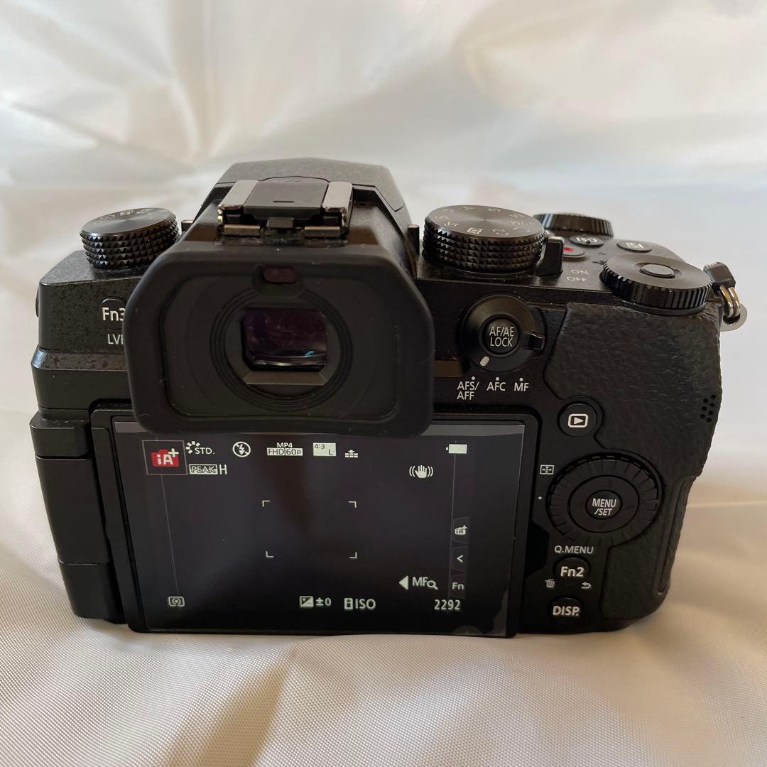 「e」LUMIX DC-G99-Ｋボディ