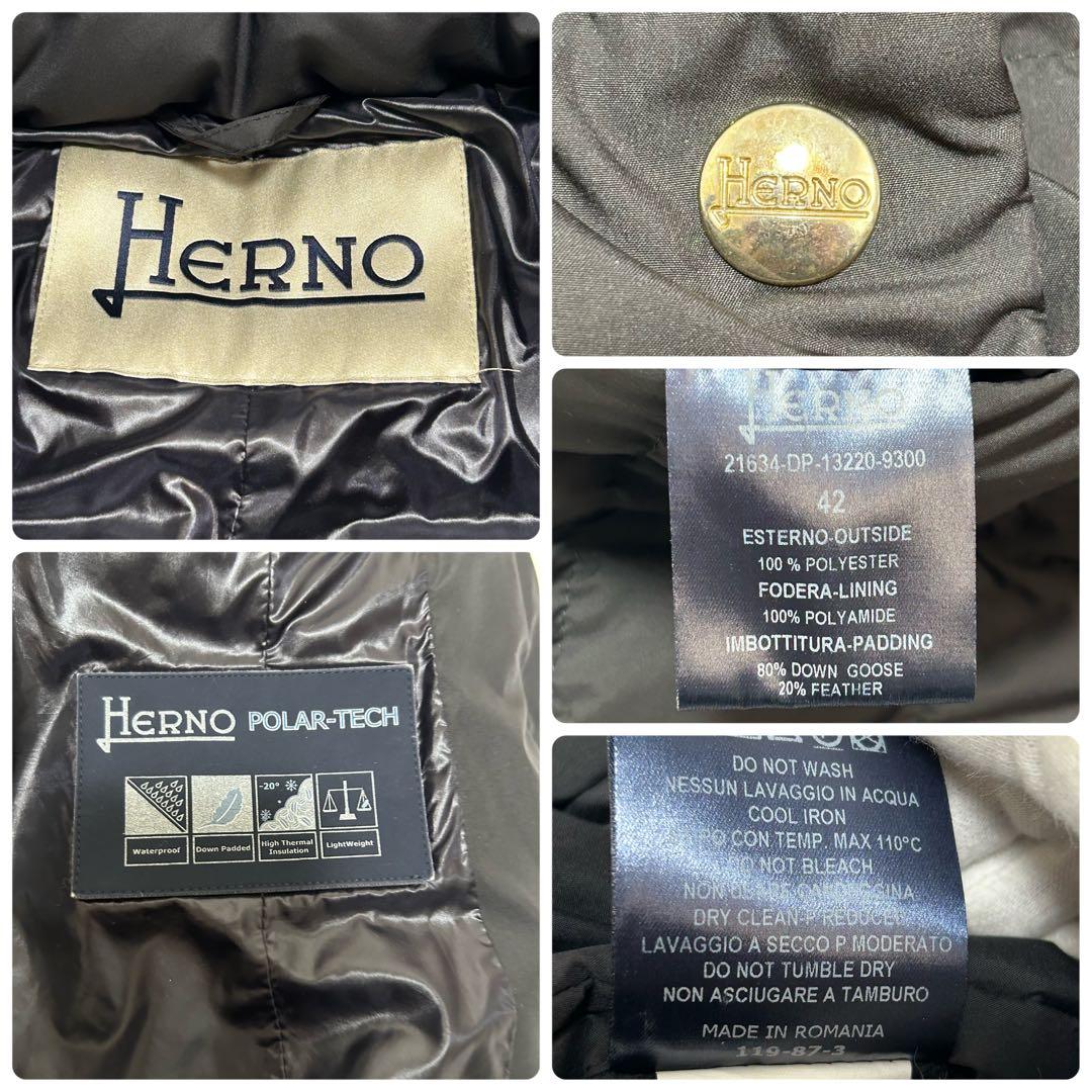 ✨美品 大きいサイズ ヘルノ ダウンコート ポーラテック Aライン 42