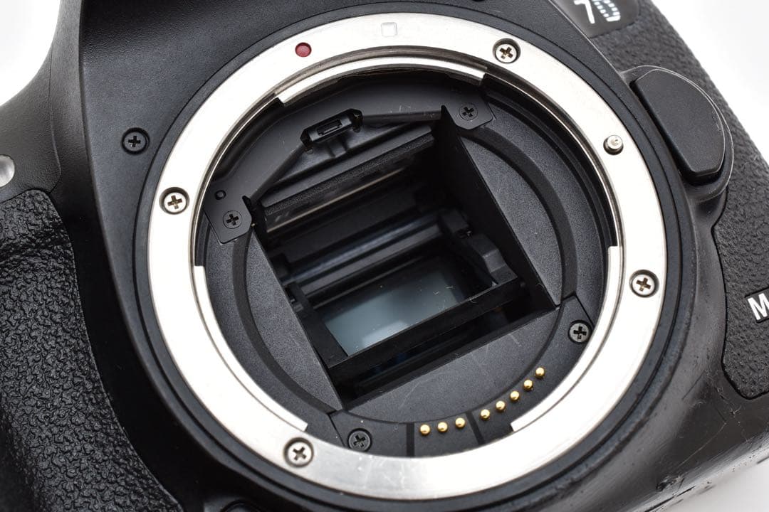 Canon EOS 7D MarkⅡ 標準&望遠ダブルレンズセット