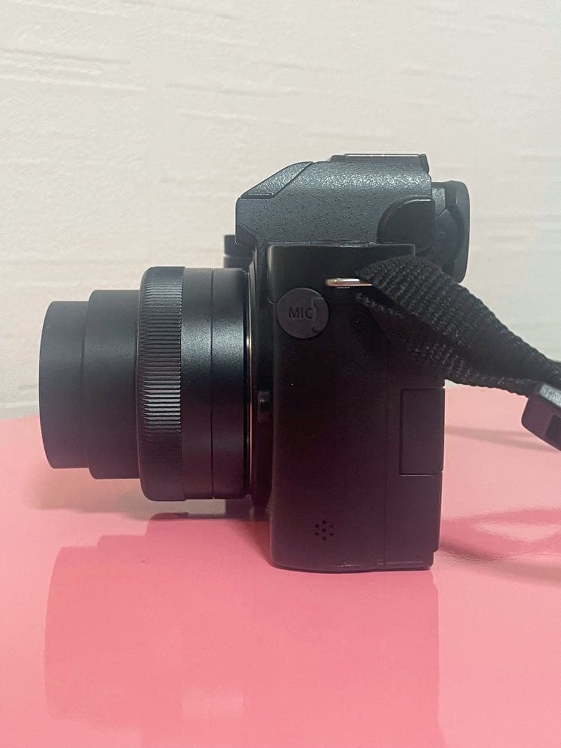 Panasonic LUMIX G100 DC-G100 ダブルズームキット