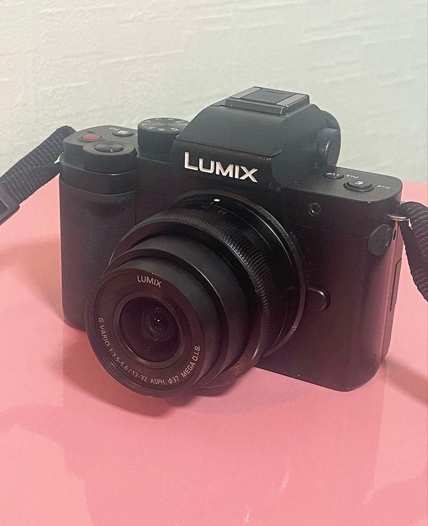 Panasonic LUMIX G100 DC-G100 ダブルズームキット