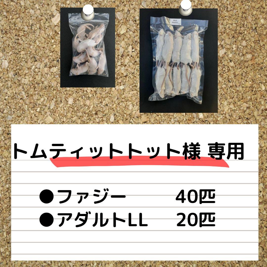 【トムティットトット】国産冷凍マウス ファジー40匹 、アダルトLL20匹