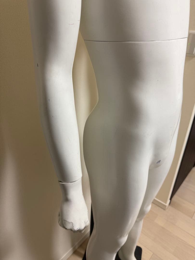 パールイデア　男性　全身トルソー　マネキン　白　高さ調整可能　ディスプレイ