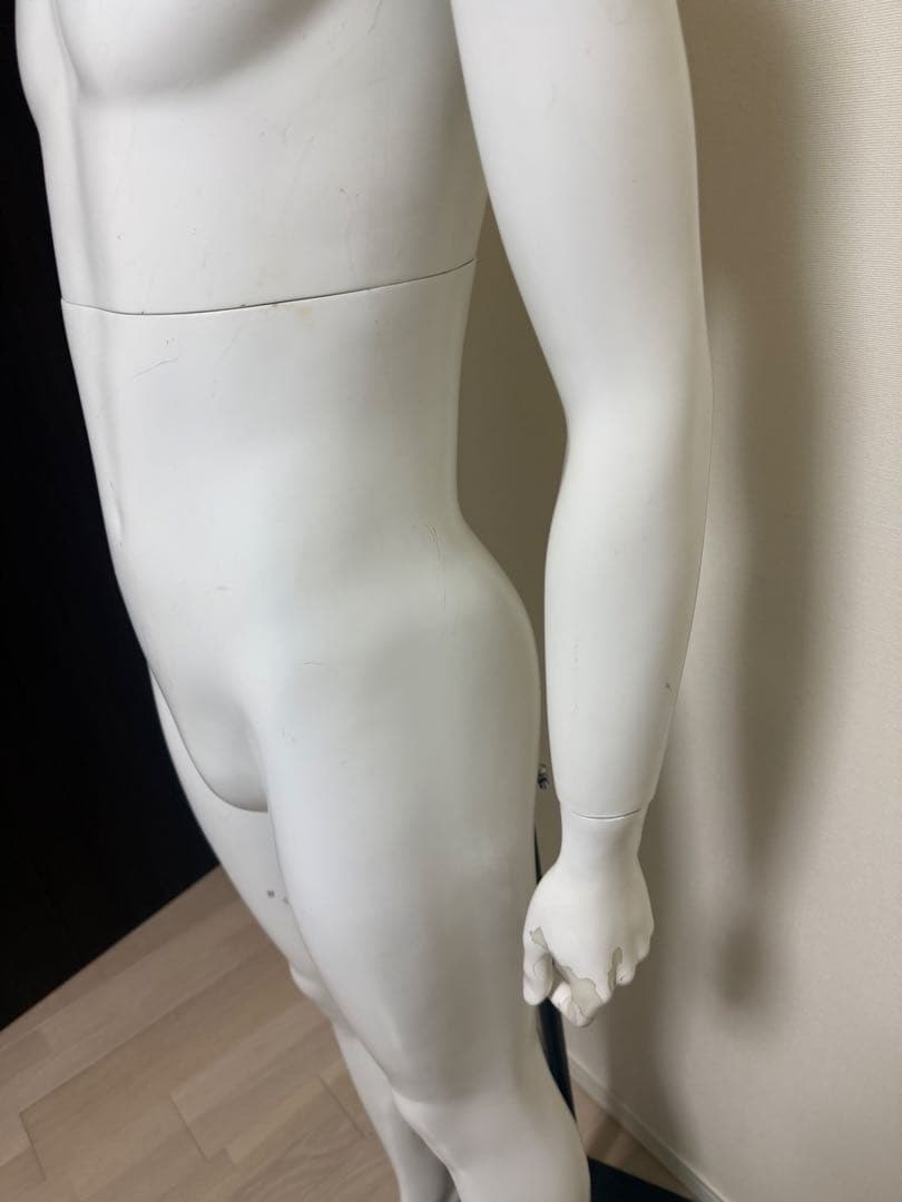 パールイデア　男性　全身トルソー　マネキン　白　高さ調整可能　ディスプレイ