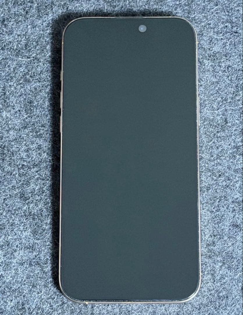 ［US版•盗難紛失プラン付］iPhone 16 Pro Max 1TB +α