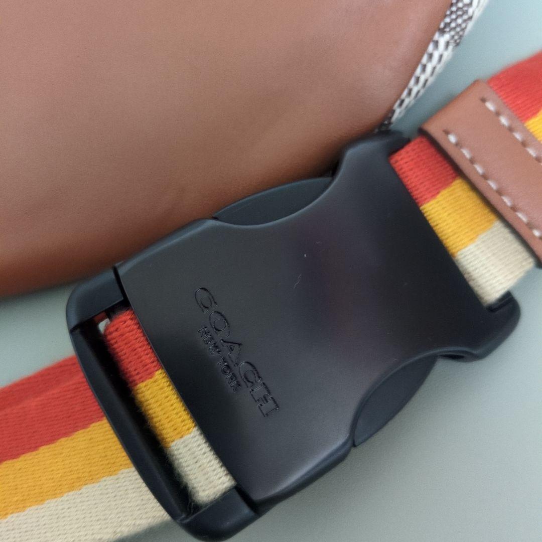 コーチ　ディズニー　50周年　完売品　ボディバッグ　COACH