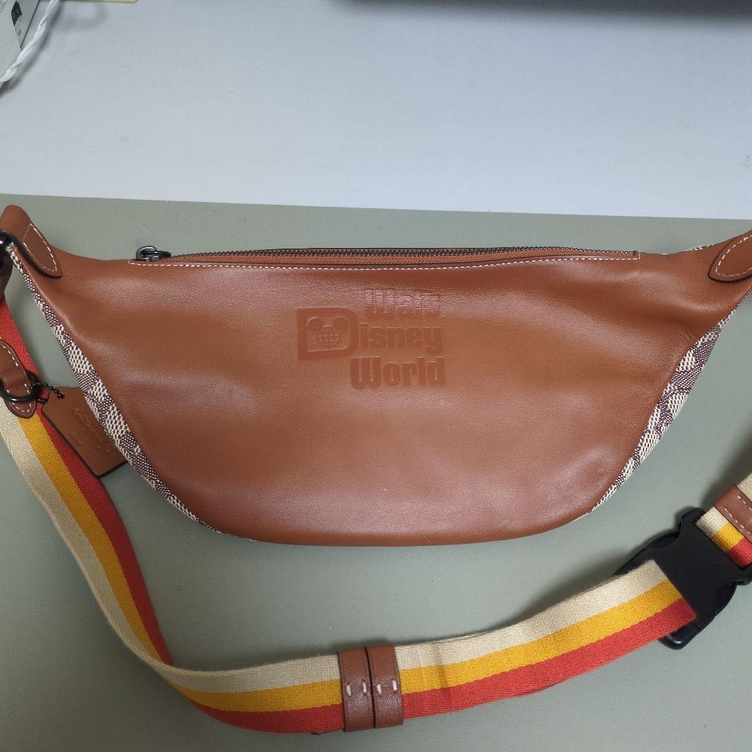 コーチ　ディズニー　50周年　完売品　ボディバッグ　COACH