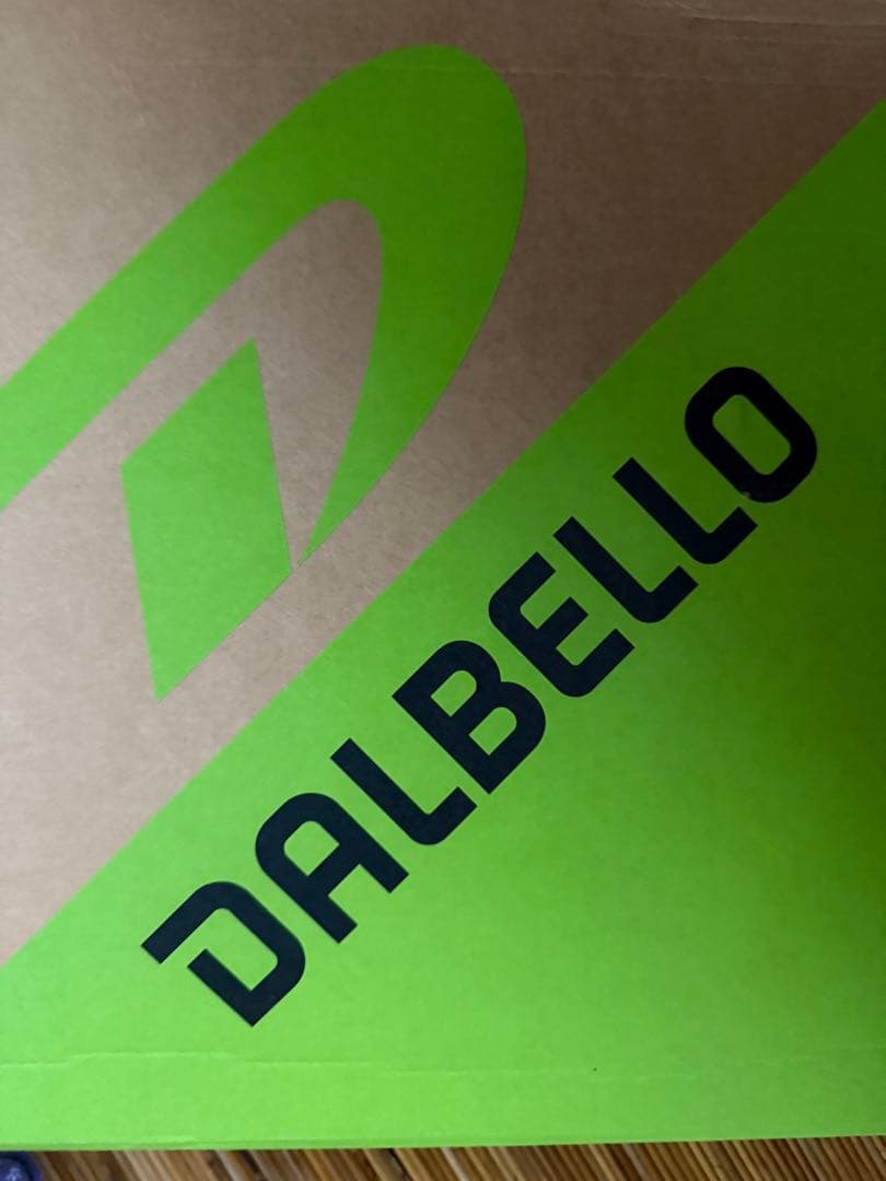 スキーブーツ 22.5 Dalbello　しのぶ