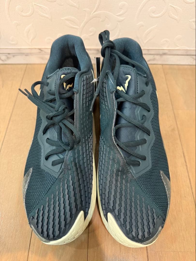 NIKE ナダル　Rafa ズームヴェイパーケージ4 新品未使用品27 グリーン