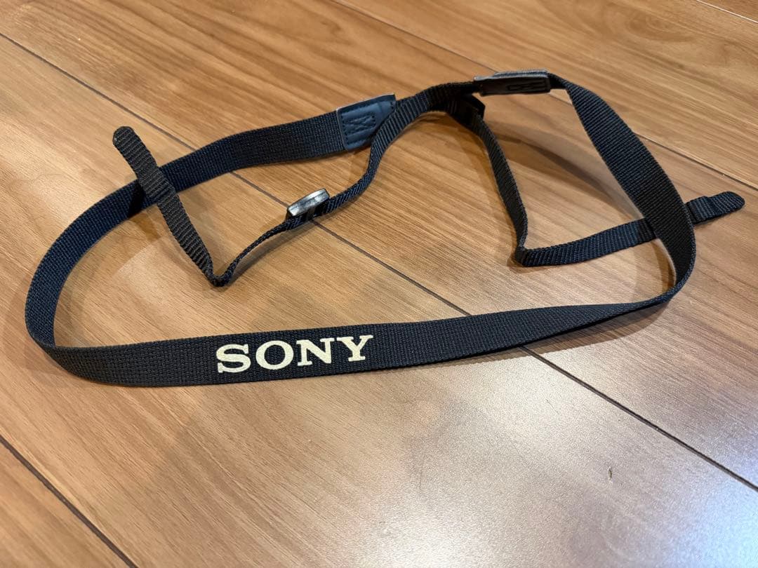 α6100 ダブルズームレンズキット