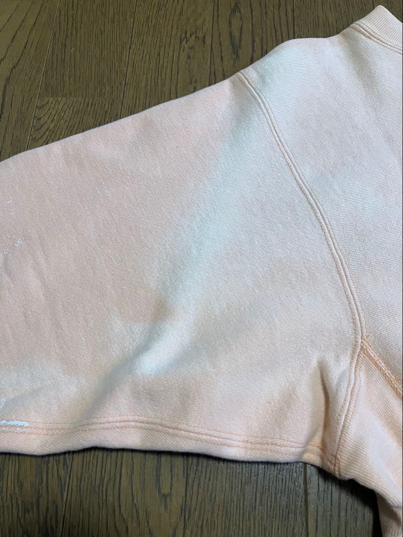 チャンピオン　リバースウィーブ　ウィスコンシン　トリコタグ　Mサイズ