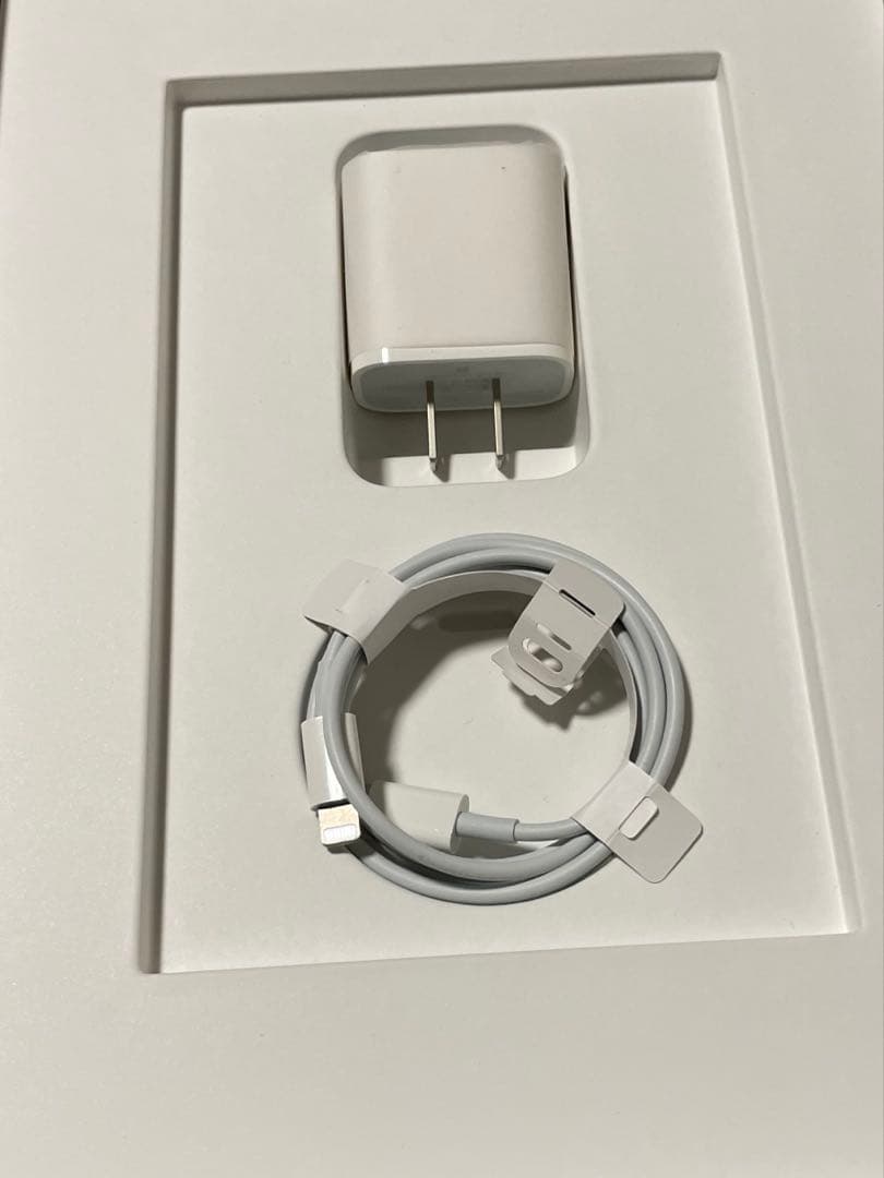 【美品】iPad （第9世代） Wi-Fi 64GB 本体＋ケース