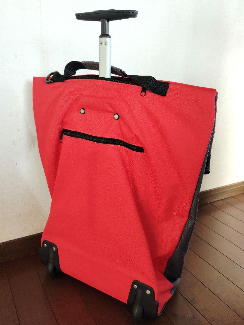 ライゼンタール　トローリー　M フレーム