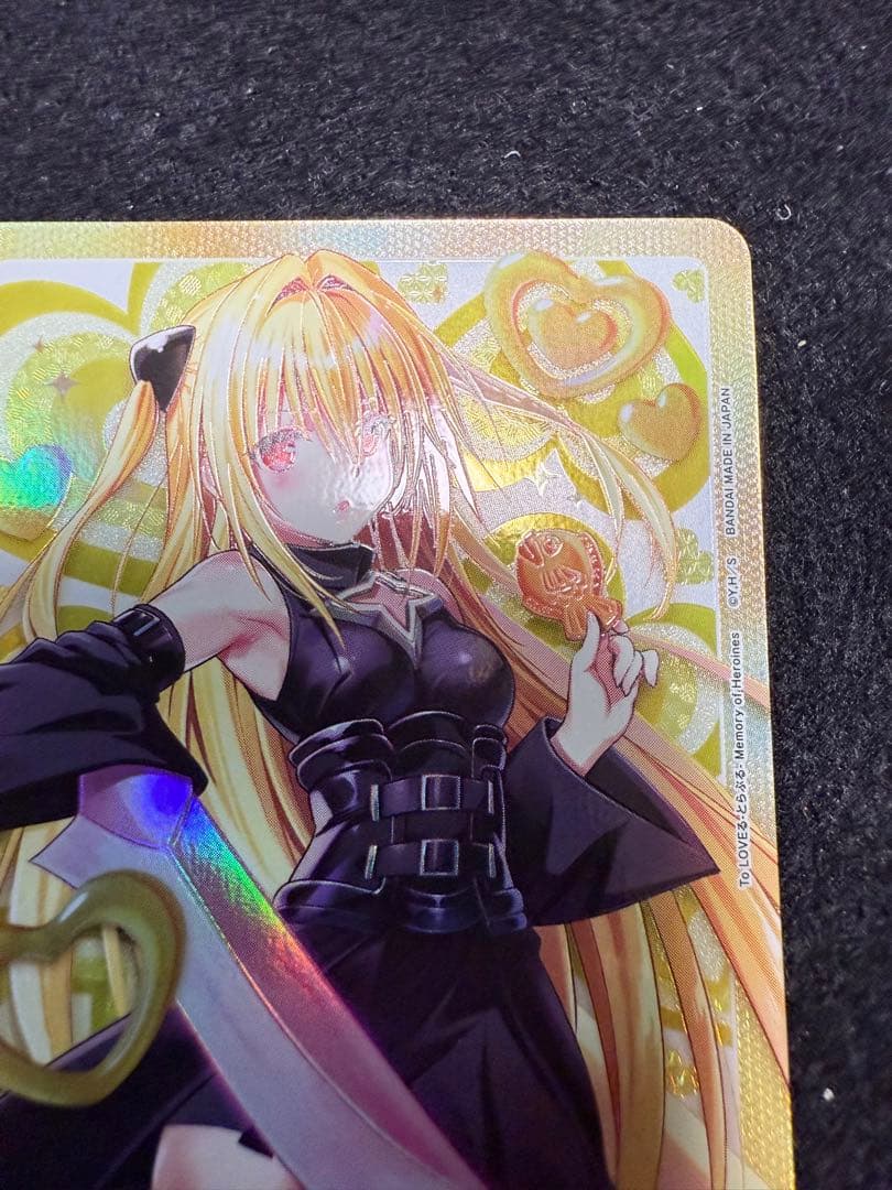 金色の闇　AP ユニオンアリーナ　ToLOVEる