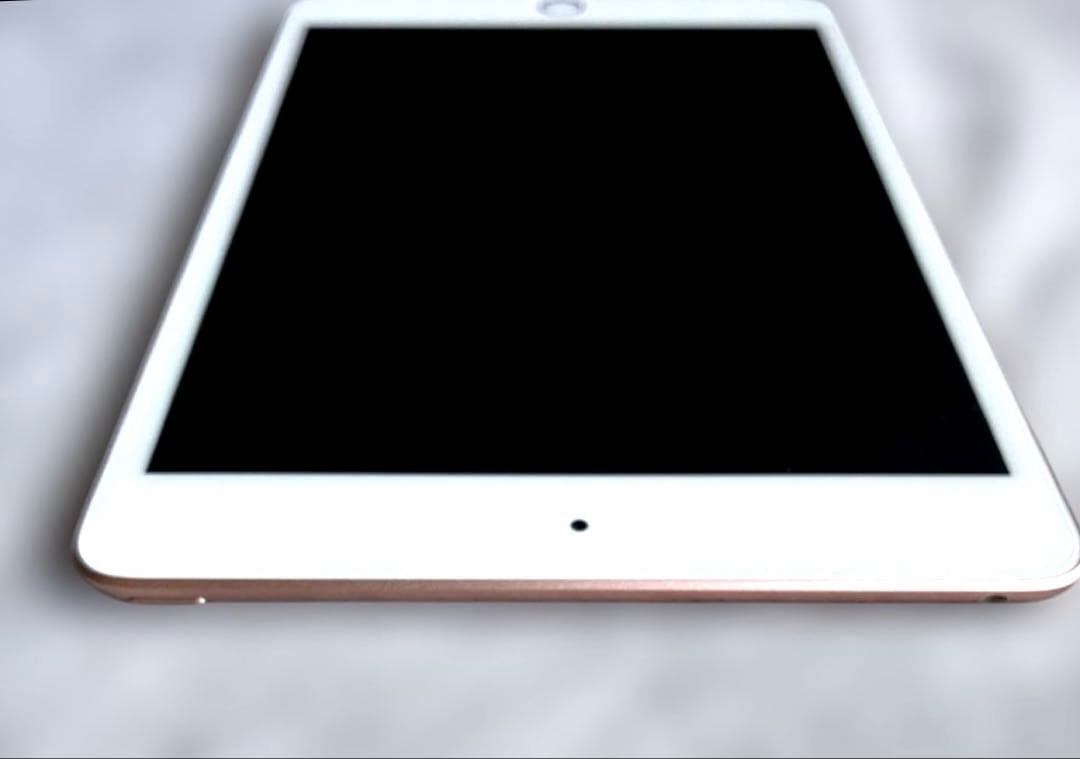 【状態良好】Apple iPad mini 5ゴールド 256GB