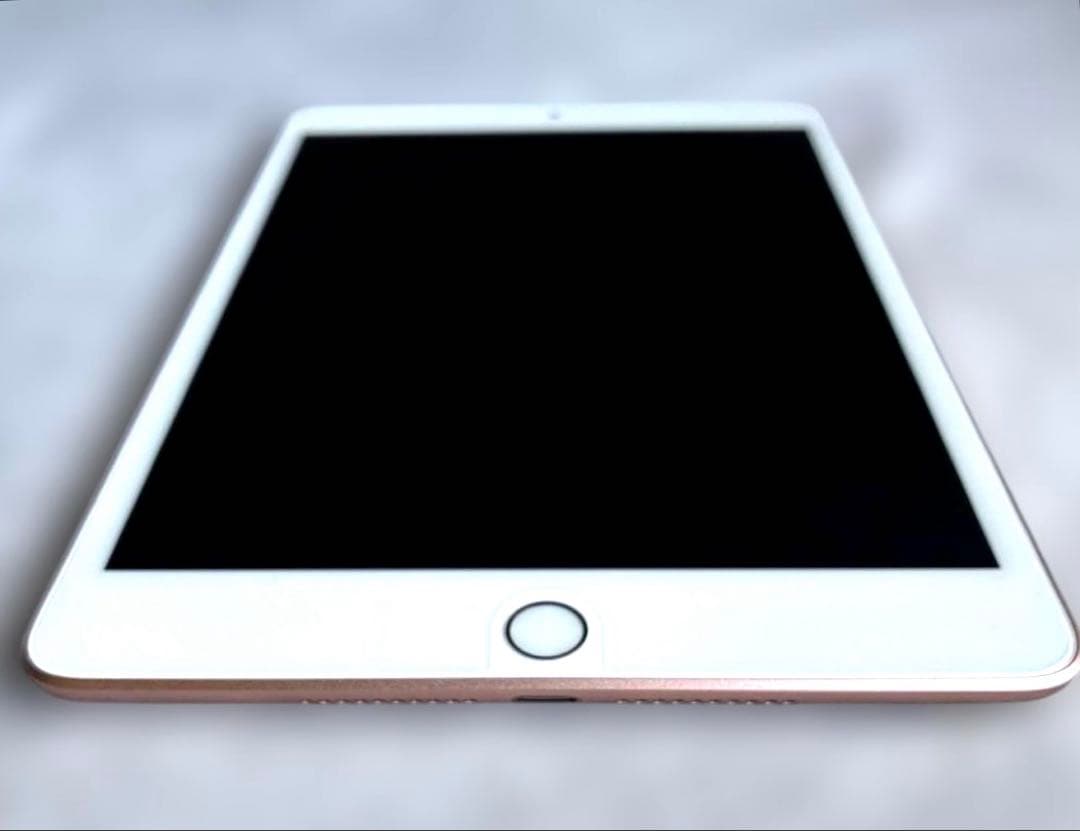 【状態良好】Apple iPad mini 5ゴールド 256GB