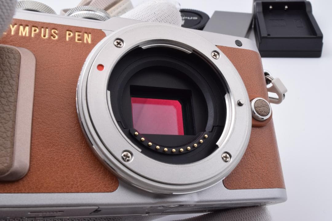 #51a ショット数230 美品 オリンパス PEN E-PL8 ボディ 充電器