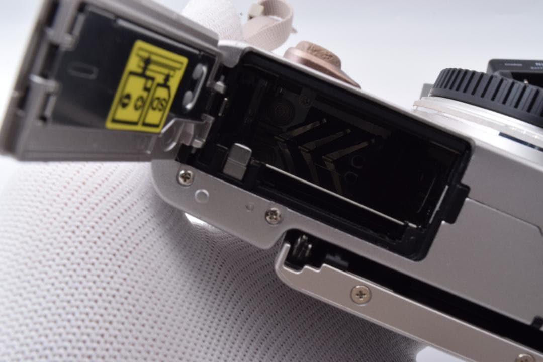 #51a ショット数230 美品 オリンパス PEN E-PL8 ボディ 充電器