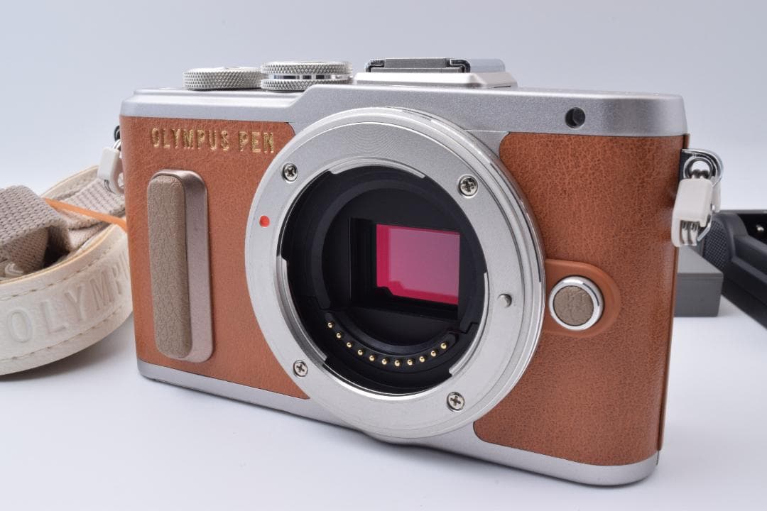 #51a ショット数230 美品 オリンパス PEN E-PL8 ボディ 充電器