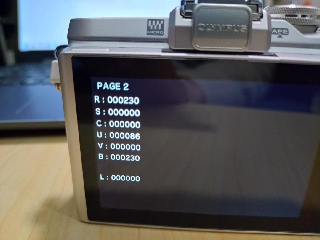 #51a ショット数230 美品 オリンパス PEN E-PL8 ボディ 充電器