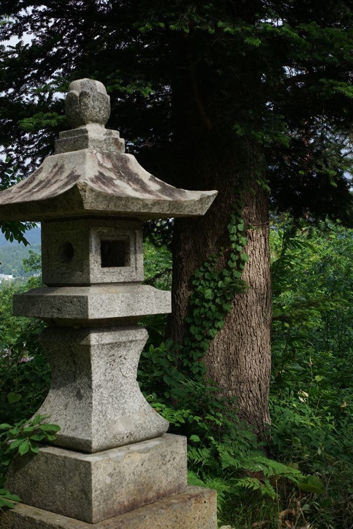 作例付き　CANON FL 50mm F3.5 MACRO 管mpr