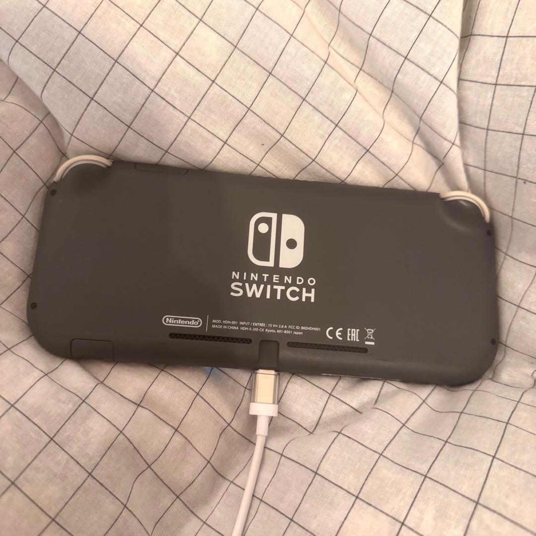 Switch lite グレー 本体・充電器のみ