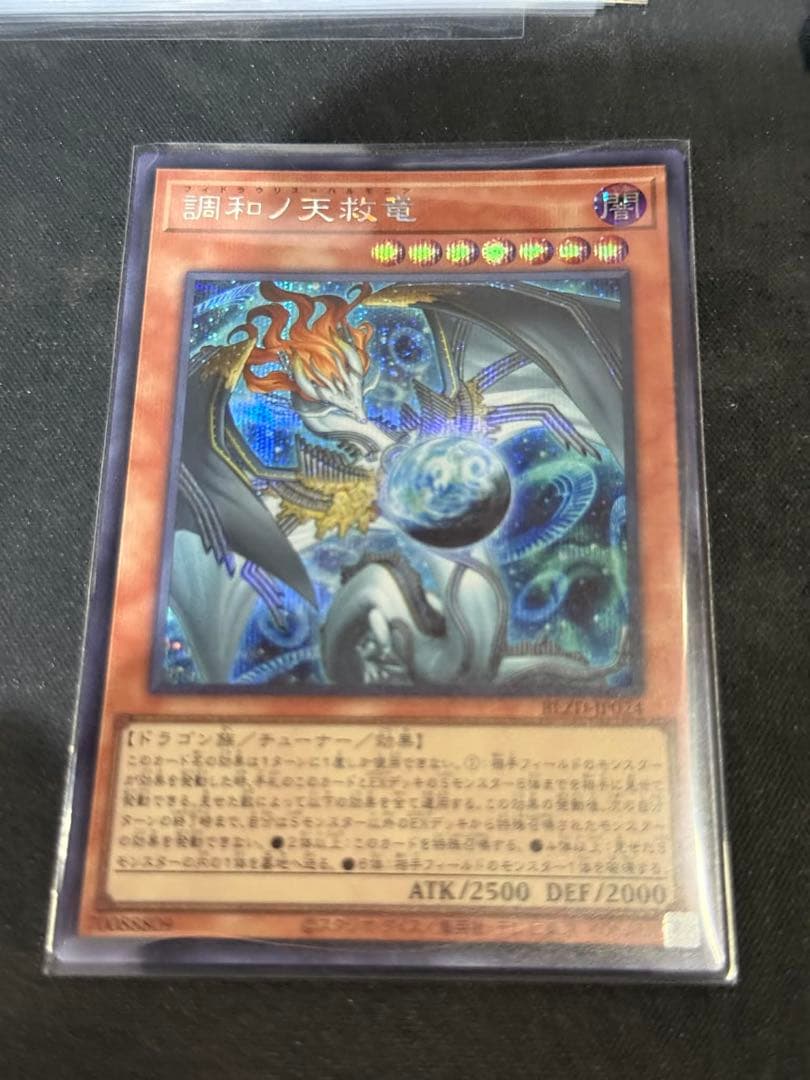 遊戯王　調和ノ天救竜 シークレット　シク