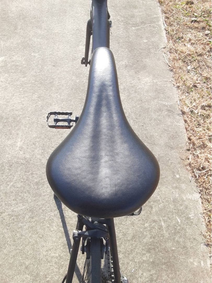 フラワー 　TERN ( ターン ) SURGE