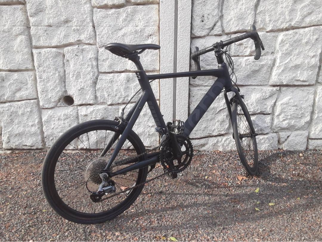 フラワー 　TERN ( ターン ) SURGE