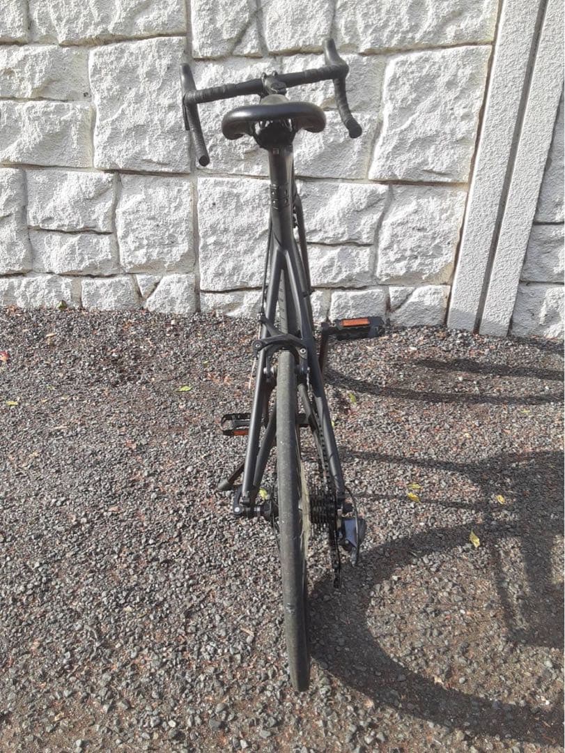 フラワー 　TERN ( ターン ) SURGE