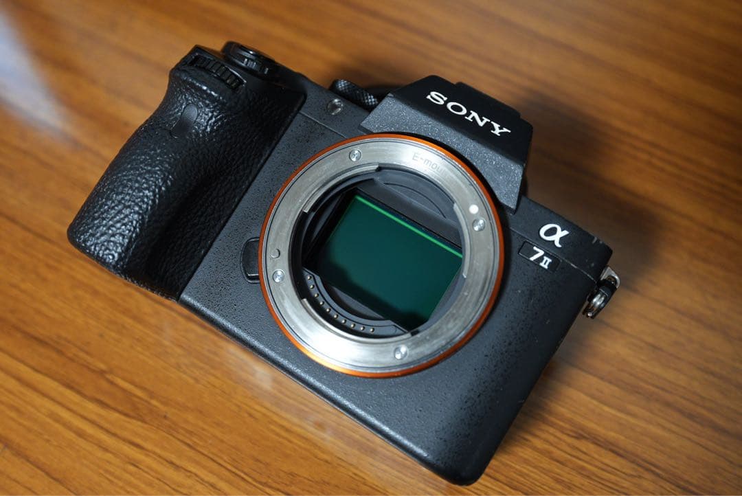 こ*ん様 Sony α7 II ミラーレス一眼 本体