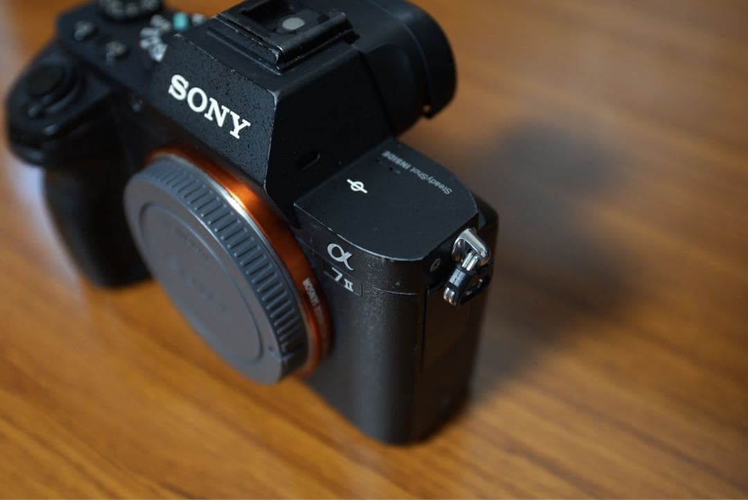 こ*ん様 Sony α7 II ミラーレス一眼 本体