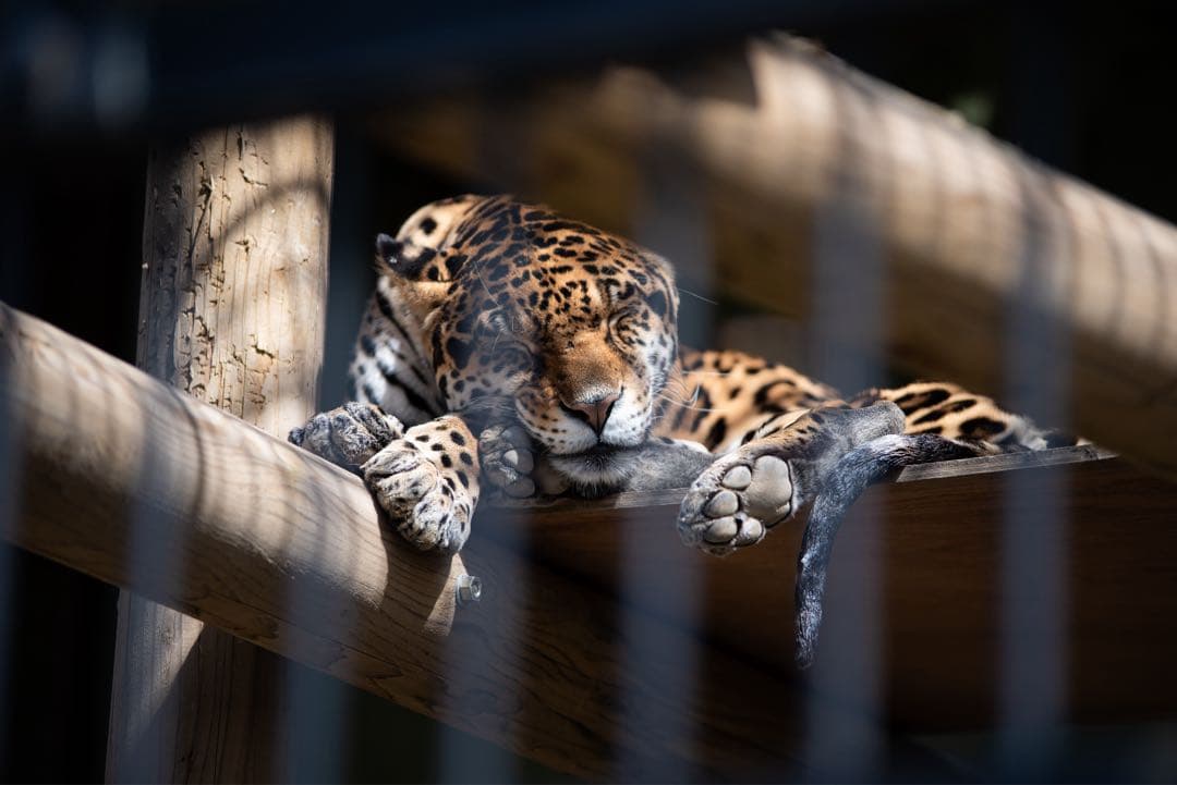 【中古】TAMRON 70-200mm F2.8 ニコンFマウントA001