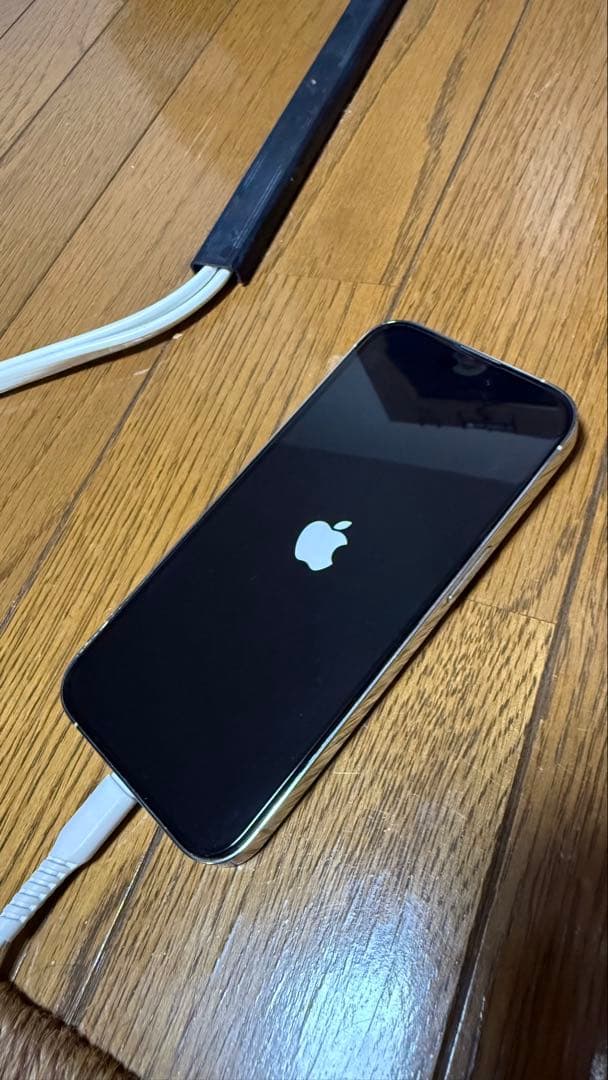 iPhone14Pro 256GB 訳アリ