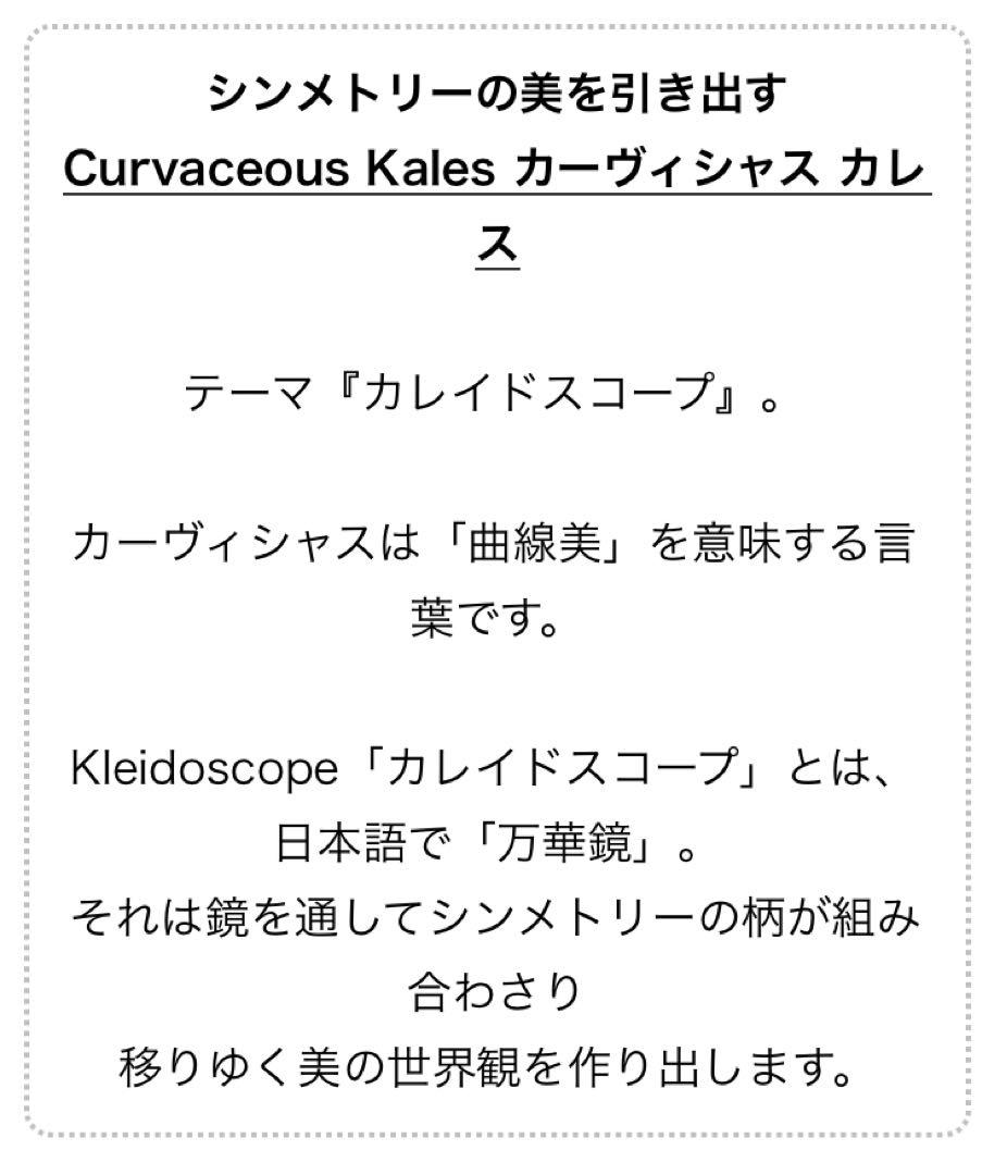 【MARUKO補正下着】カーヴィシャス カレス ボディシェイプスーツ