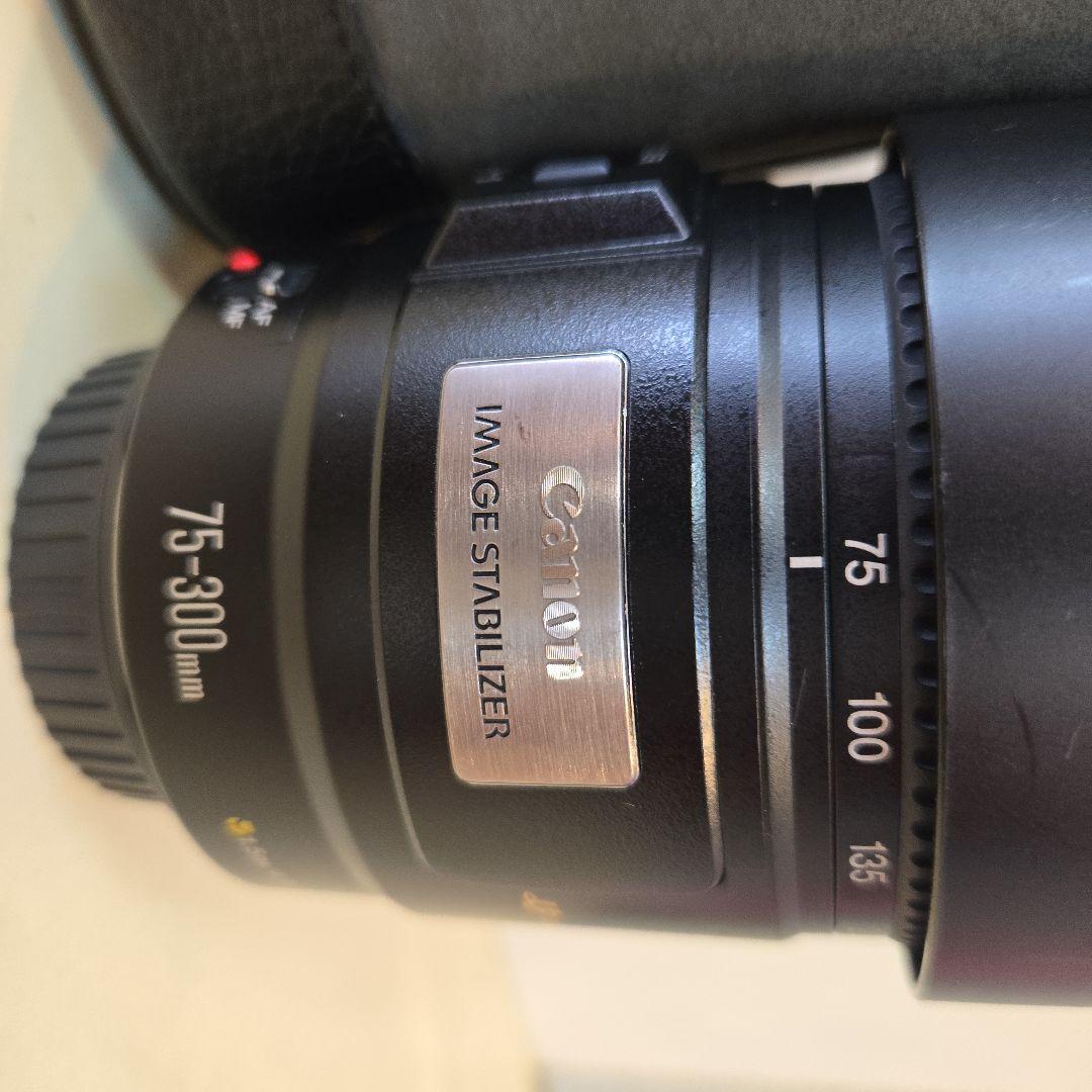 望遠レンズ/デジタル一眼レフカメラ/Canon EF75-300mm