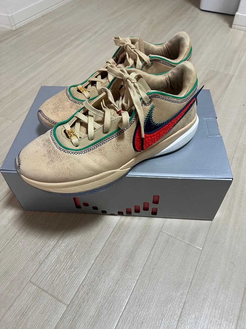 NIKE レブロン20 EP フォーホースメン