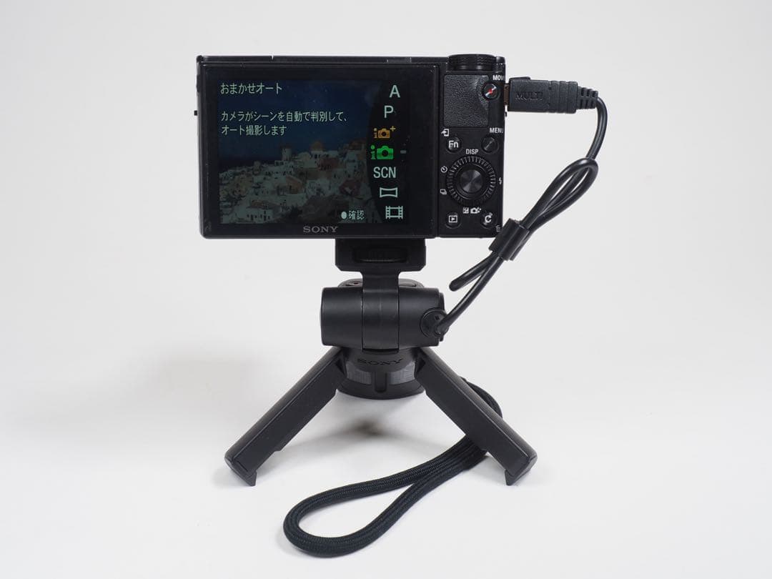 SONY デジタルカメラ RX100M3 シューティンググリップ、純正ポーチ付