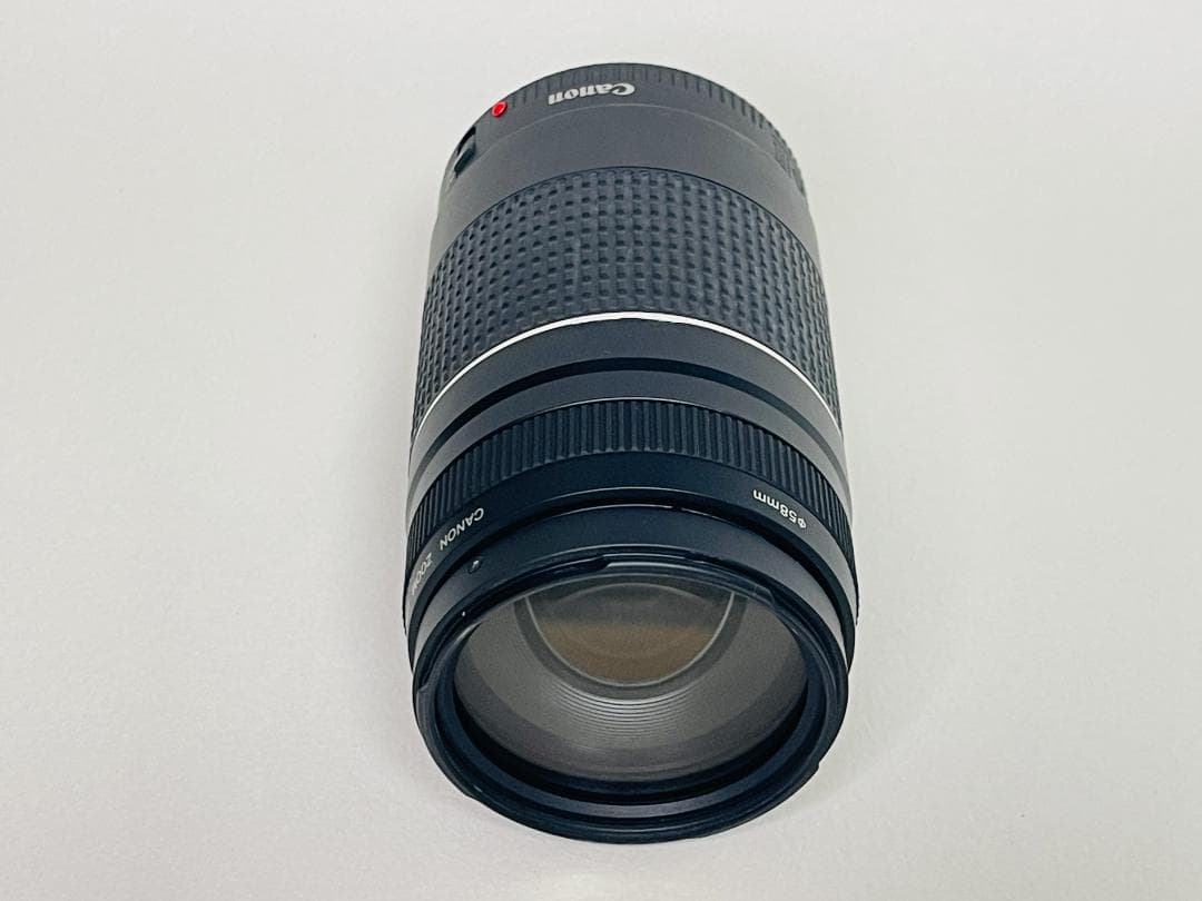 【完動品】 Canon EF 75-300mm F4-5.6 III 望遠レンズ