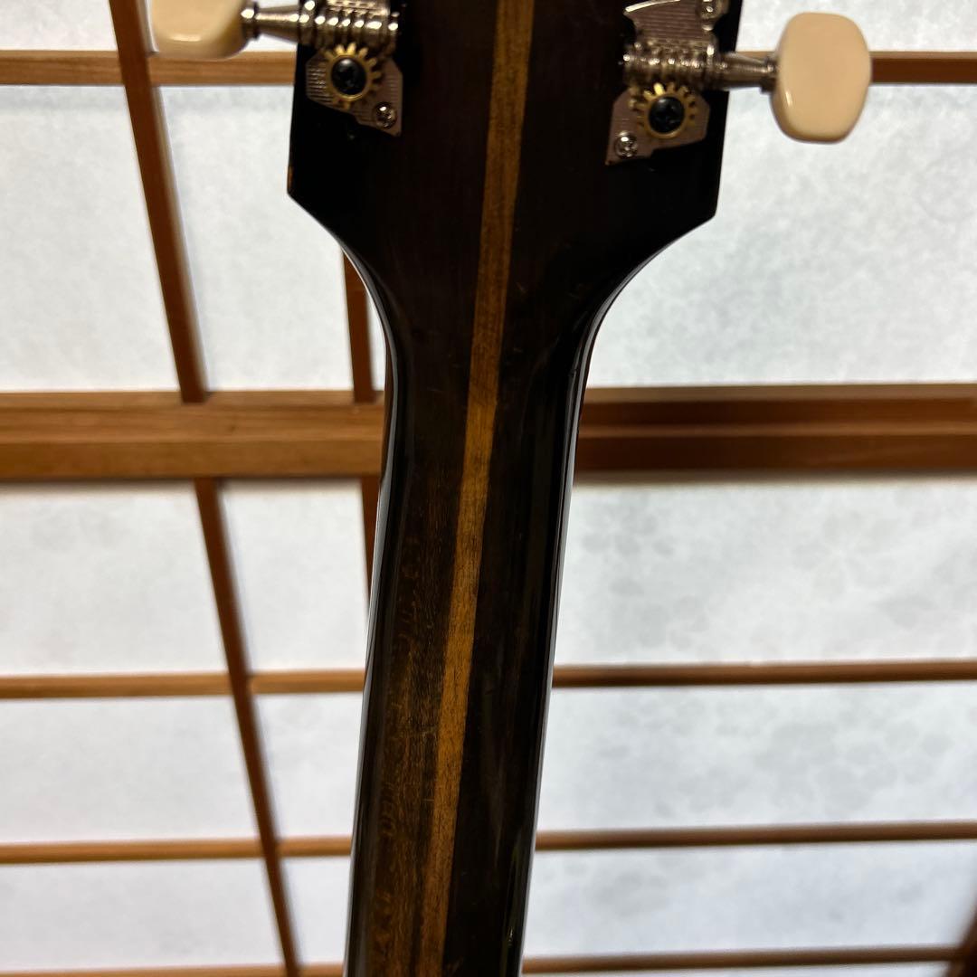 NARDAN NO.120　 ナルダンピックギター アーチトップ