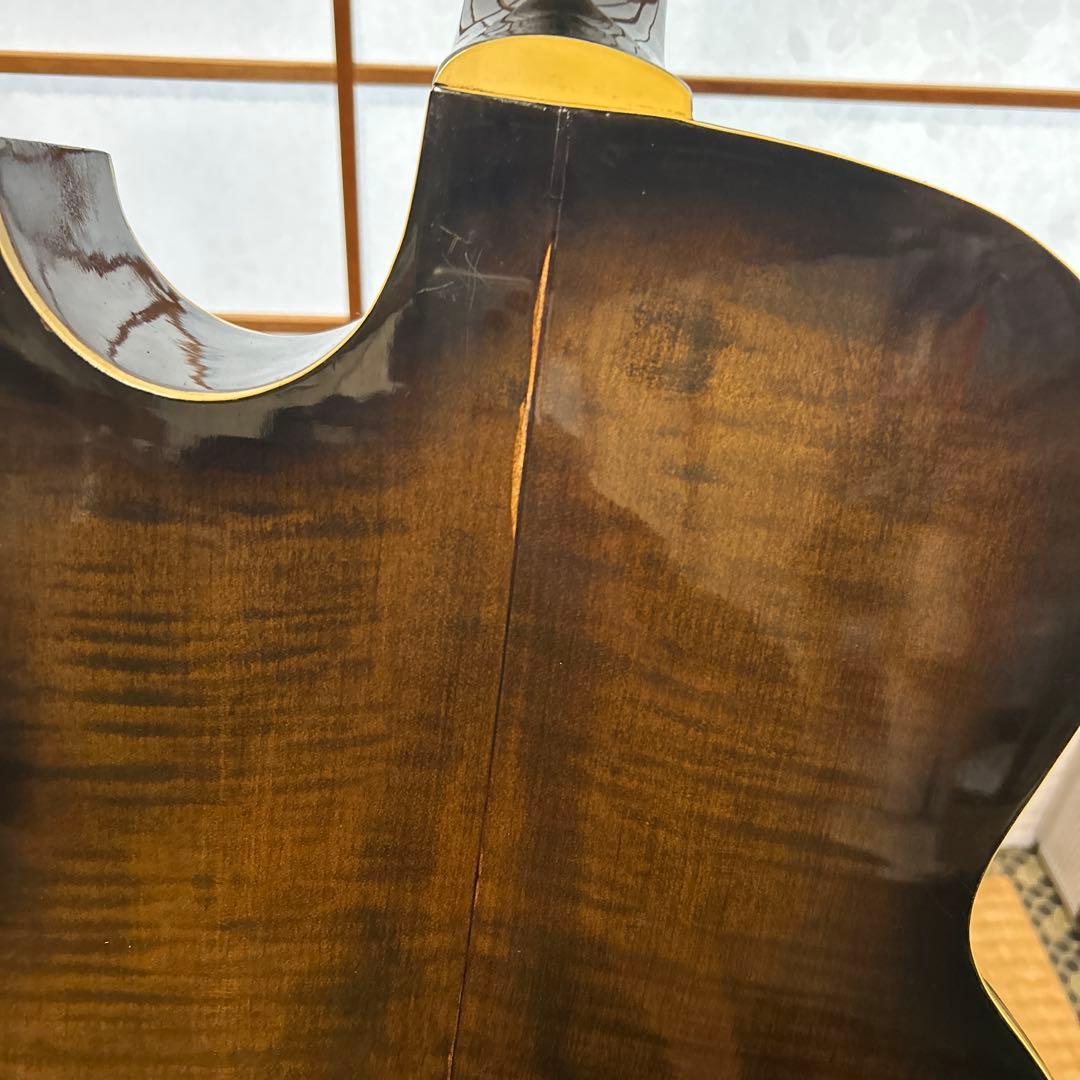 NARDAN NO.120　 ナルダンピックギター アーチトップ