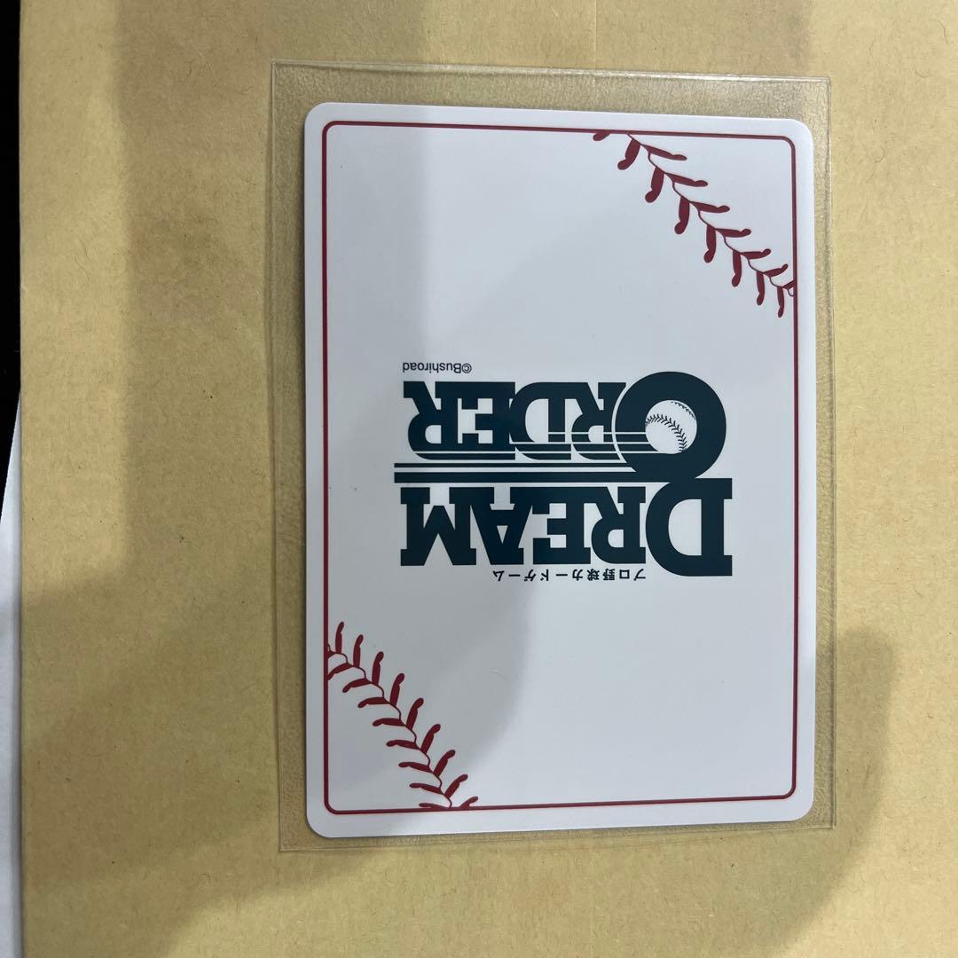 カ*イ様 ドリームオーダー　日本選手権プロモ　ヤクルト　山田哲人　フルスイングS