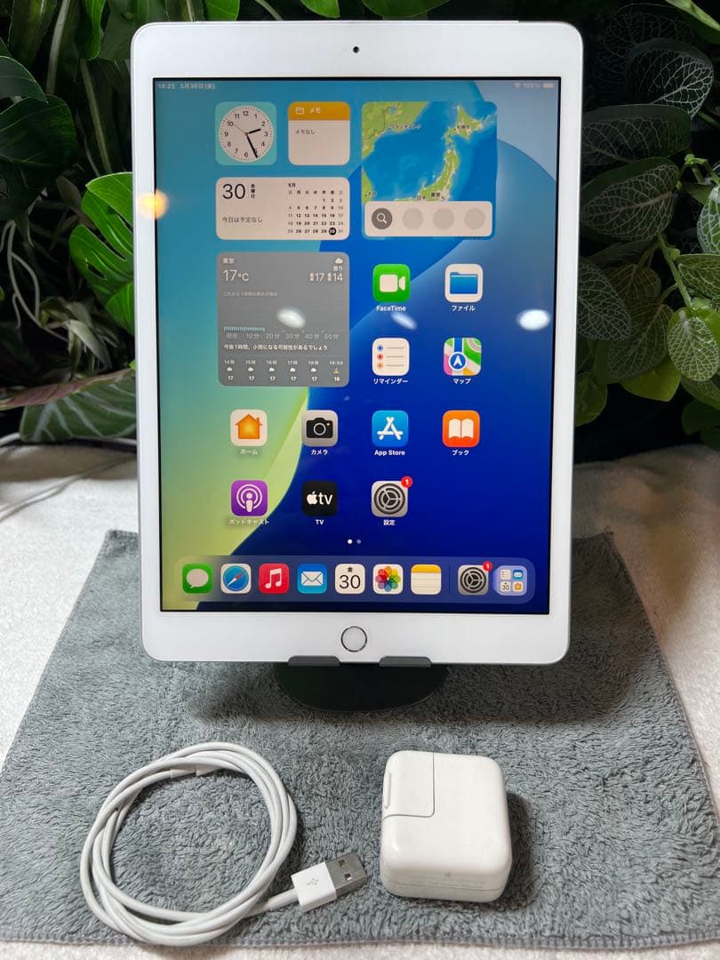 Apple iPad 第8世代/128GB/電池健康86.6%/HW263