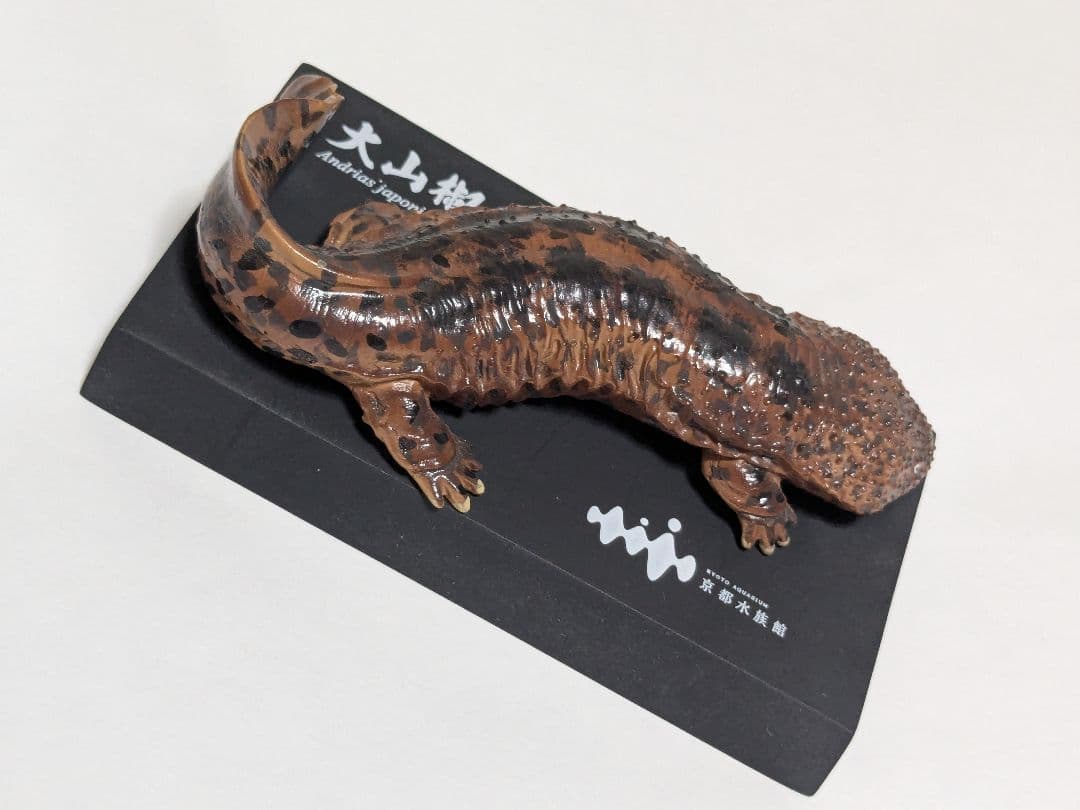 海洋堂 京都水族館限定フィギュア オオサンショウウオ