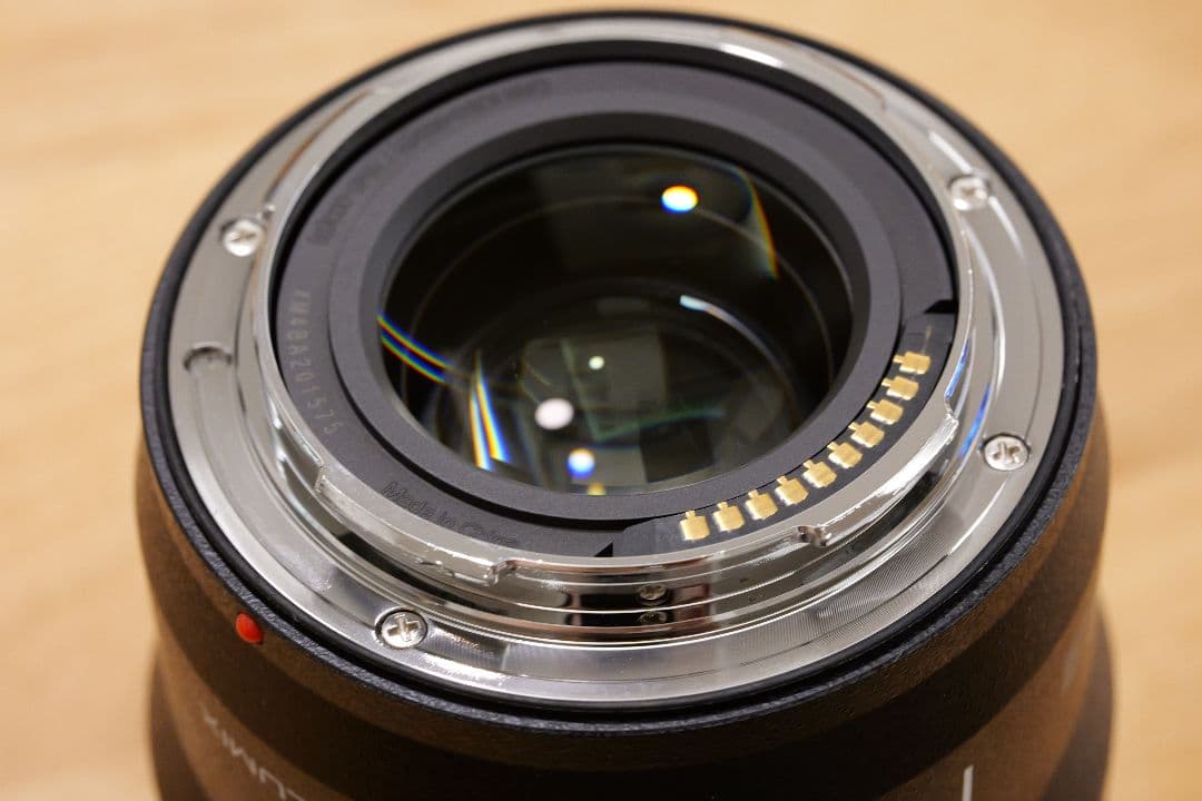 レンズ(単焦点) LUMIX S 100mm F2.8 MACRO S-E100