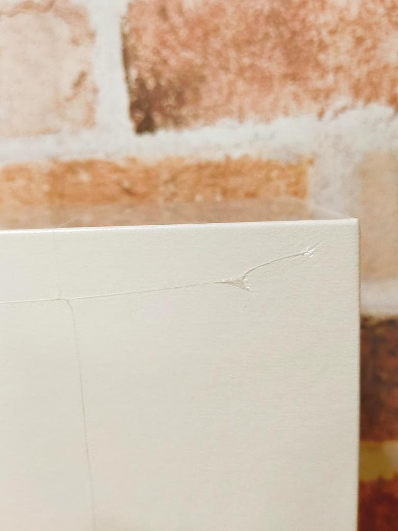 TELLA BEAUTE レーザー & EMSリフトブラシ PRO 2.0／白