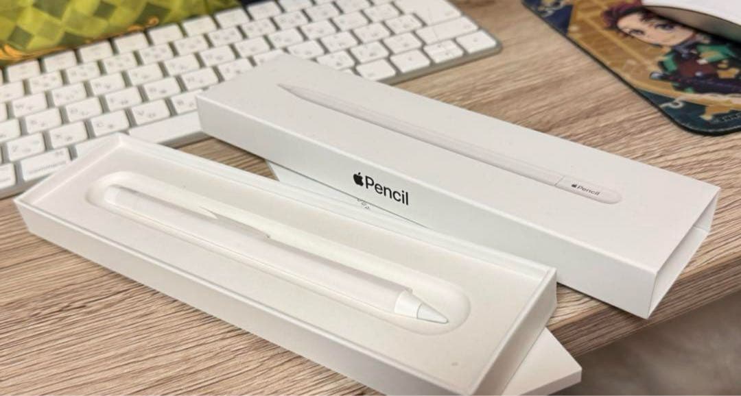 Apple Pencil ホワイト 元箱付き (USB-C)