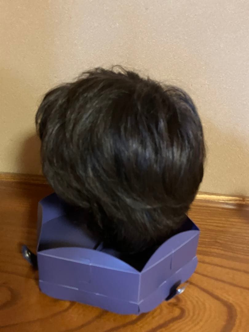 ウィッグ　フォンテーヌ　VM31 F2B